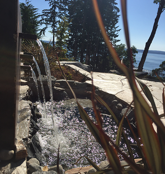 Pond-Waterfalls-Gig-Harbor-WA